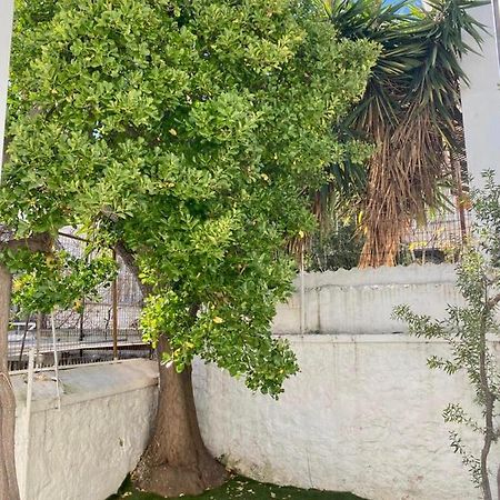 Modern 3Br Maisonette With Garden 10 Min From Acropolis Athen Eksteriør bilde